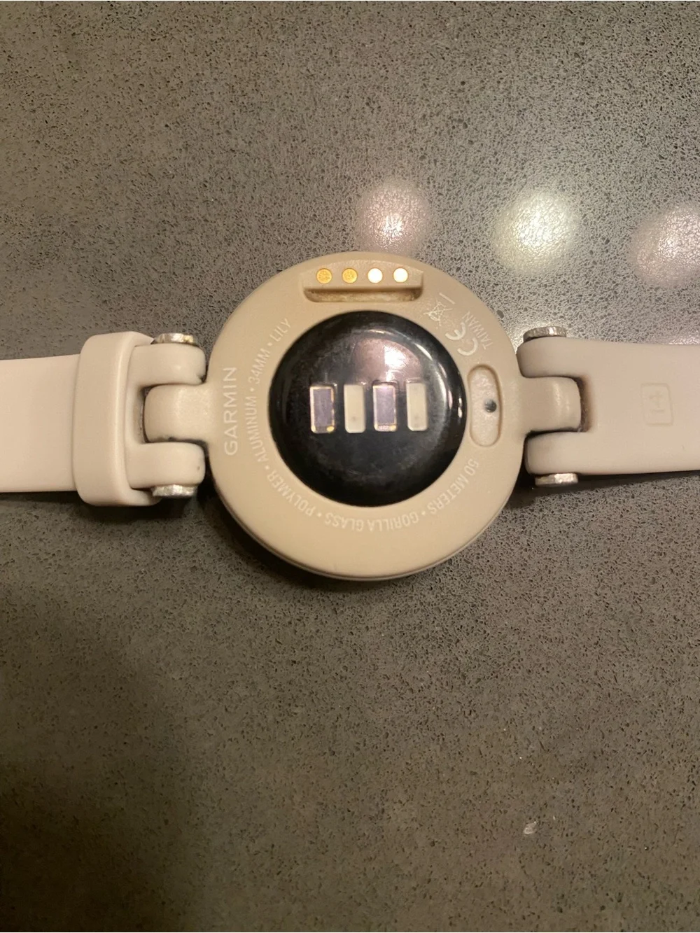Garmin Lily Smartwatch